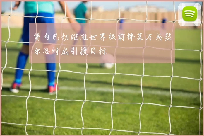 费内巴切瞄准世界级前锋莱万或瑟尔洛特成引援目标