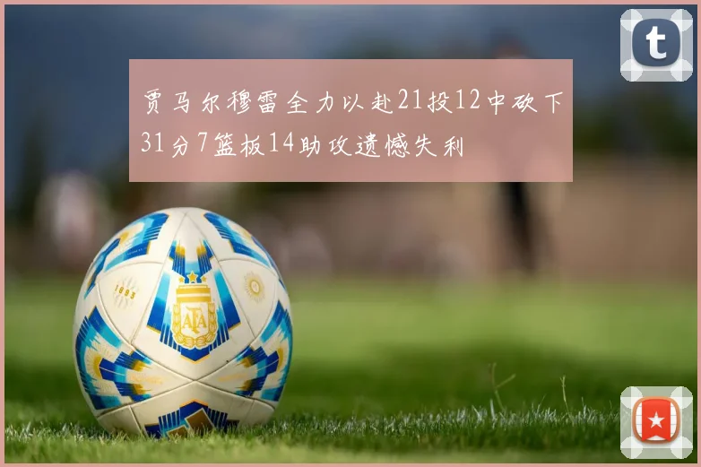贾马尔穆雷全力以赴21投12中砍下31分7篮板14助攻遗憾失利