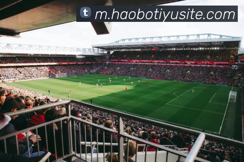 多媒体互动体验