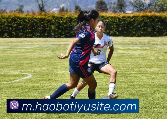 好博体育APP 高清赛事图